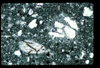 ap1401_14_17