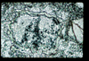 ap1401_15_01