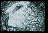 ap1401_15_03