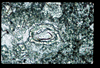 ap1401_15_05