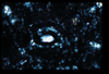 ap1401_15_06
