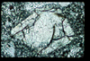 ap1401_15_07