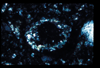 ap1401_15_18