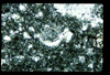 ap1401_15_19