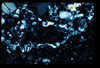 ap1401_16_05