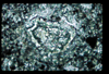 ap1401_16_08