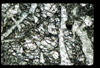 ap1401_17_03
