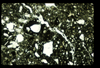 ap1401_17_12