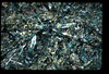 ap1401_17_19