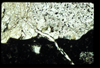 ap1401_18_11
