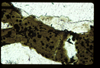 ap1401_18_16