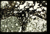 ap1402_01_11