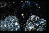 ap1402_01_12