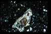 ap1402_02_09
