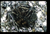 ap1402_02_12