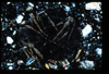 ap1402_02_13