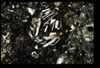 ap1402_02_16