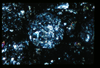 ap1402_03_02