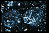 ap1402_03_04