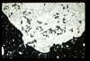 ap1402_03_17