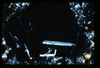 ap1402_03_20