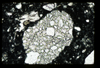 ap1402_04_01