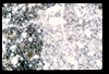 ap1402_04_03