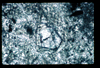 ap1402_04_11