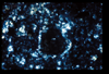 ap1402_04_12