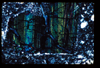 ap1402_04_16