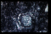 ap1402_04_17
