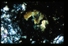 ap1402_05_06