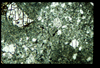 ap1402_05_07