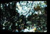 ap1402_05_13