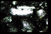 ap1402_05_14