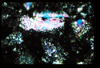 ap1402_05_15