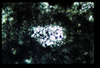 ap1402_05_16