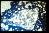 ap1402_05_18