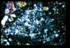 ap1402_06_11