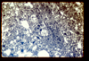 ap1402_07_09