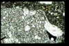 ap1402_07_11