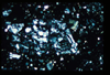 ap1402_09_02