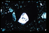 ap1402_09_04