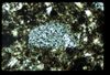 ap1402_09_05