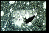 ap1402_09_07