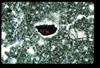 ap1402_09_09