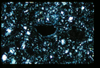 ap1402_09_10