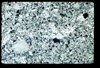 ap1402_10_03