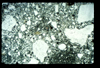 ap1402_11_01