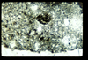 ap1402_11_09